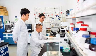 中國制造業(yè)第一縣聚力互聯(lián)網(wǎng)銷售轉(zhuǎn)型，新華日報頭版頭條聚焦產(chǎn)業(yè)升級新篇章