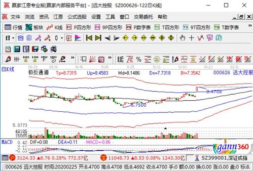 遠(yuǎn)達(dá)控股強(qiáng)勢(shì)漲停，業(yè)績(jī)大幅預(yù)增與國(guó)內(nèi)貿(mào)易代理業(yè)務(wù)成關(guān)鍵驅(qū)動(dòng)力