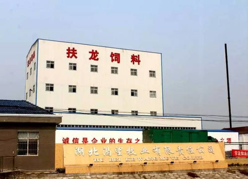 深耕本土，創(chuàng)新制勝 一家湖北小龍蝦飼料企業(yè)的萬噸級(jí)突圍之路